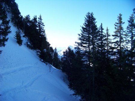 Départ de la pente ouest entre les sapins.