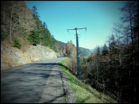 Le sentier sort au niveau du dernier poteau sur la D.518.