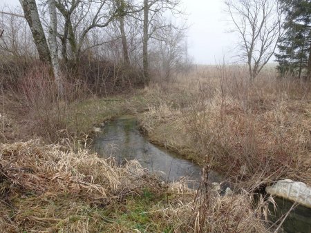 Ruisseau de Nécuidet