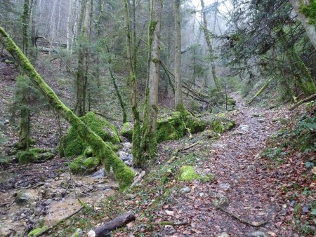 Ruisseau de Ste-Catherine