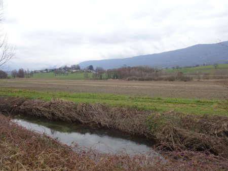 Ruisseau des Marais