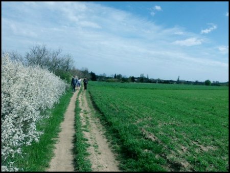 A travers champs longeant la voie.