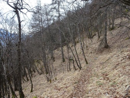 Sentier des Gardes