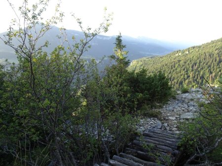 Passerelle à Bébert