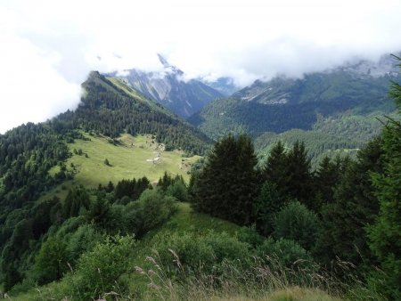 Sentier sud du Parc du Mouton : regard arrière