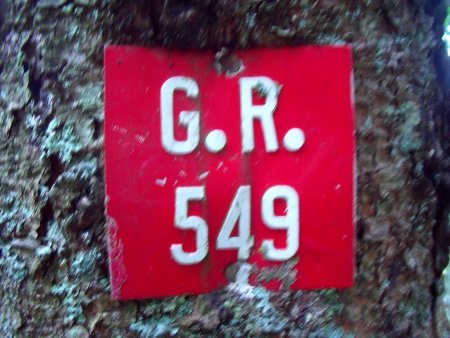 G.R.549