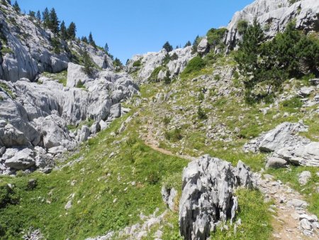 Une zone d’arres avec ses caractéristiques.