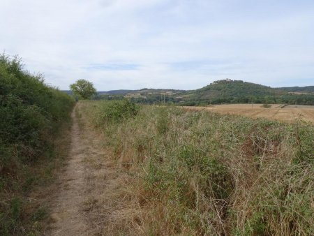 Retour sur St-Père