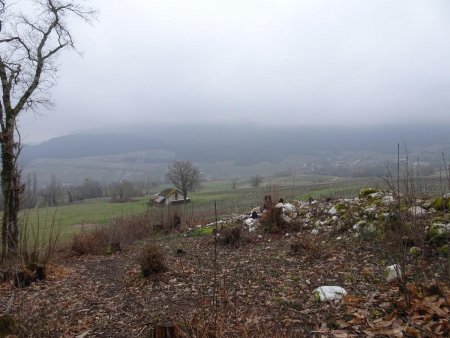 En vue de Jongieux