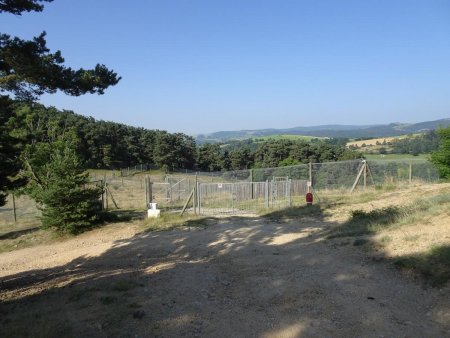 Parc à loups