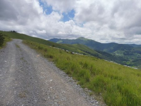 La piste continue sa montée. Au fond, on voit le Belchou.