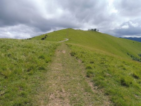 Cette première piste herbeuse va rejoindre la piste carrossable au replat suivant.