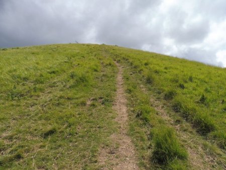 Puis, nouvelle piste herbeuse qui monte directement.