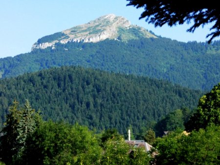 La Pinéa en montant vers le Fort du St-Eynard.