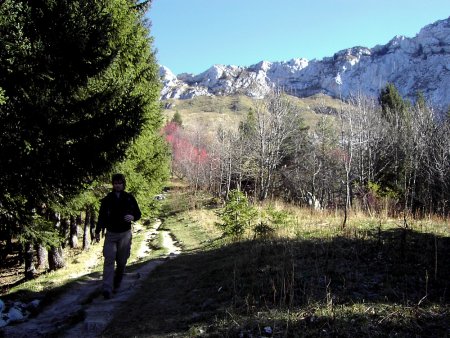 Proximité du Refuge de Roybon