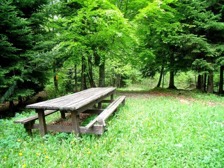 Table de pique-nique à la Pointière