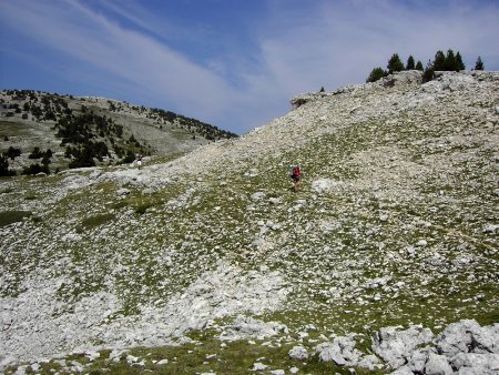 Hauts plateaux du Vercors