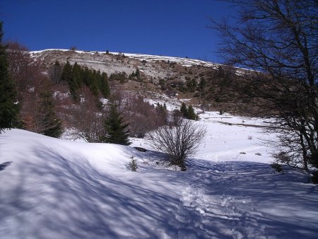 Plateau de Sornin