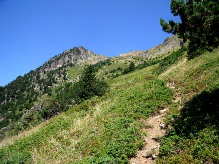 La trace est bien marquée encore