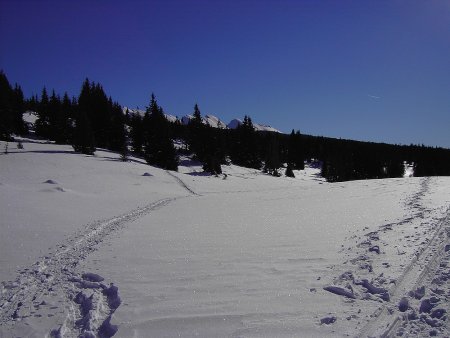 Crêtes et prairie