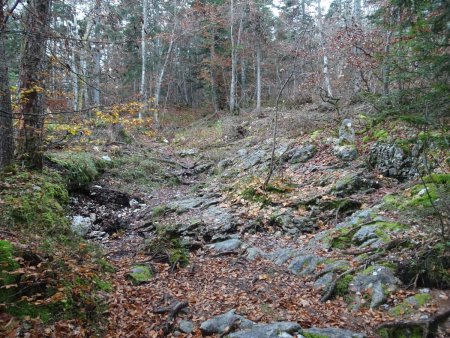 Sentier des Tannes et Glacières