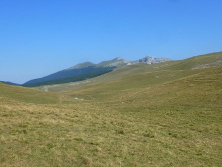 Direction la forêt