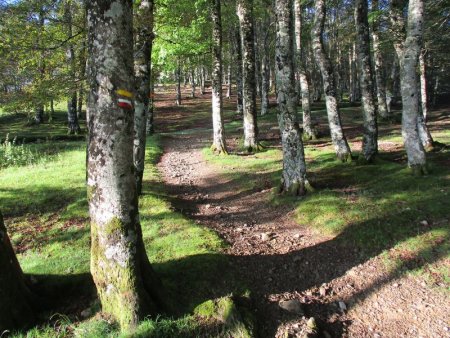 Montée vers la crête d’Organbidexka en suivant le GRT10.