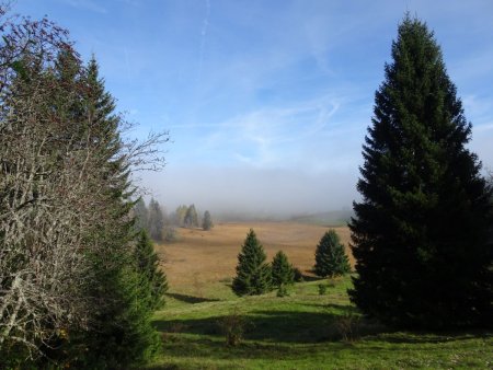 Tourbière des Creusates