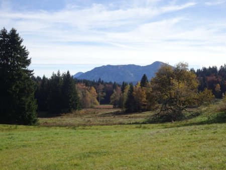 Tourbière des Creusates