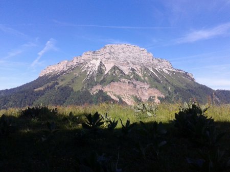 Chamechaude vue de la Prairie à l’est de l’Emeindra-de-Dessus.