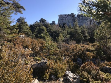 Cadières de Brandis