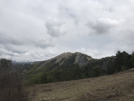 Le sommet de la Chanau (rétro)