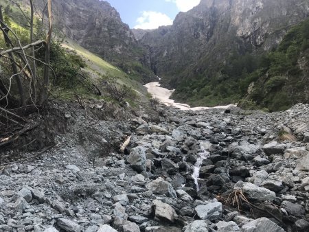 Le Torrent des Pins