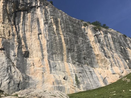  Belle falaise de Grimpe du 6b au 8c