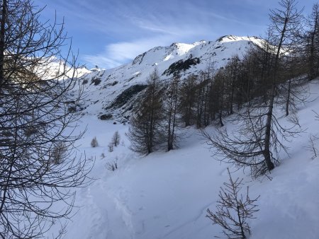 Sentier d’hiver