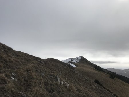 Montagne de la Sarcéna