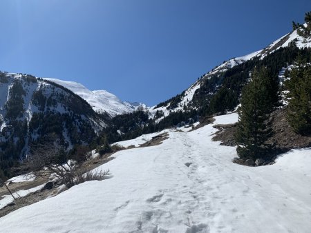 La piste