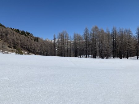 La balise météo