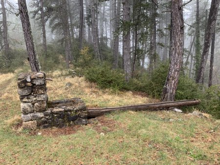 Fontaine à la cabane.