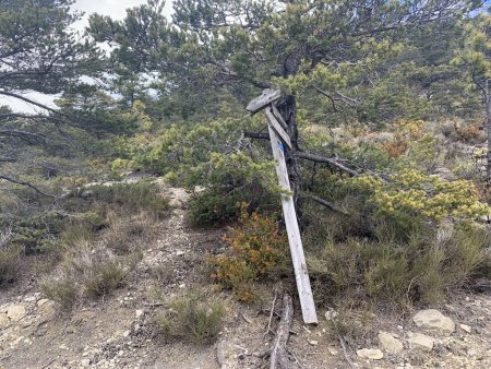 Sentier de retour à gauche (point 1350m).