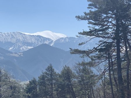 Montagne de Boules.