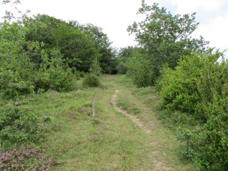 Puis on suit un sentier mieux marqué.