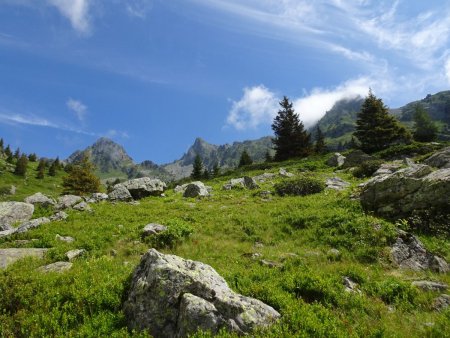 Dernier regard au vallon du Vénétier