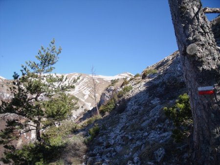 Vue sur les crêtes du GR