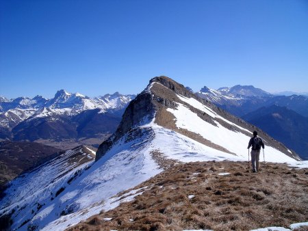 Toussière sur fond de Dévoluy