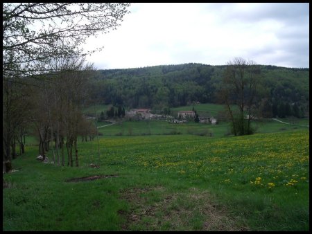 En direction de St-Martin-en-Vercors. Ses prairies.