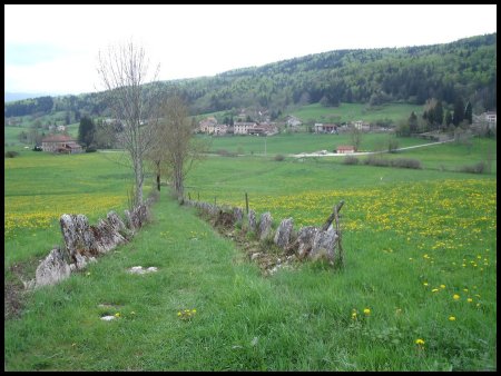 En direction de St-Martin-en-Vercors. Ses prairies.