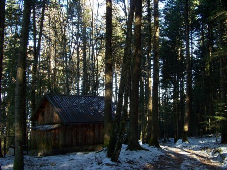 Sortie du 24 janvier, cabane de chasseur