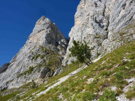 Le couloir d’accès à la vire, entre les tours du Playnet