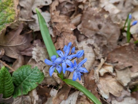 Le printemps s’annonce timidement